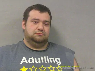 Mugshot of James Walter Tanner booked in Webster County, West Virginia on March 20, 2026