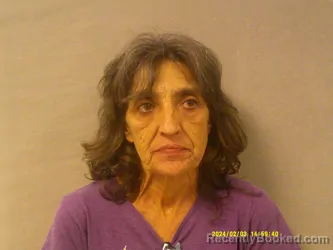 Mugshot of Nancy Ann Hizer booked in Webster County, West Virginia on May 22, 2026