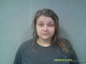 Mugshot of Stevie N May booked in Webster County, West Virginia on March 28, 2026