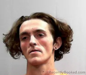 Mugshot of Alexander Bryce Henthorn booked in Wetzel County, West Virginia on April 1, 2026