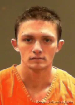 Mugshot of Allen Michael Collins