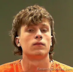 Mugshot of David Adam Morris