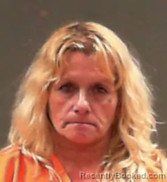 Mugshot of Dana Jean Klein booked in Wetzel County, West Virginia on July 13, 2026