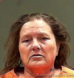Mugshot of Mary Kay Dillie booked in Wetzel County, West Virginia on May 1, 2026