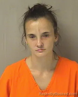Mugshot of Brittney Michelle Wilson booked in Wood County, West Virginia on July 28, 2026