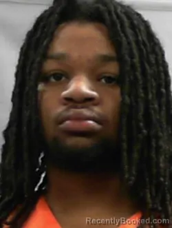 Mugshot of Camryn Cheviase McCallister booked in Wood County, West Virginia on April 11, 2026