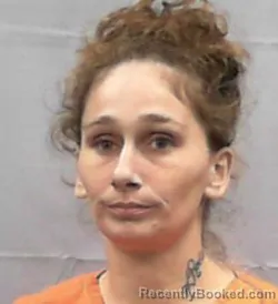 Mugshot of Erica Dawn Frazier