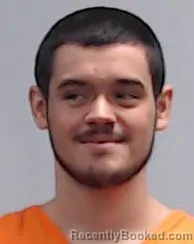 Mugshot of Logan Paul Vessecchia booked in Wood County, West Virginia on September 22, 2026