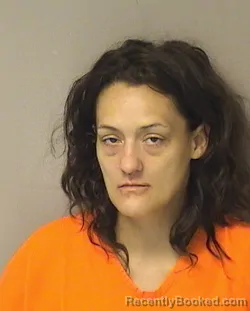 Mugshot of Stormy Joy Estep booked in Wood County, West Virginia on July 28, 2026