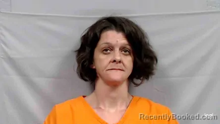 Mugshot of Alisa Louise Gibson booked in Wyoming County, West Virginia on March 23, 2026