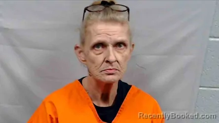 Mugshot of Brenda Lee Reed booked in Wyoming County, West Virginia on April 13, 2026