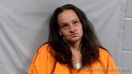 Mugshot of Debra Ann McKinney booked in Wyoming County, West Virginia on July 3, 2026