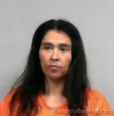 Mugshot of Jessica Anne Tilley