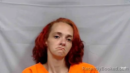 Mugshot of Larissa Marie Morgan booked in Wyoming County, West Virginia on July 19, 2026