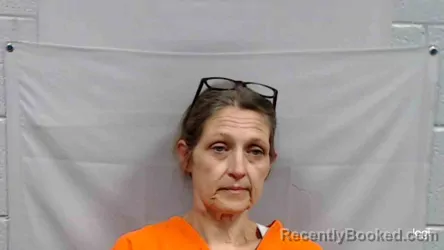 Mugshot of Melissa Jean Meade booked in Wyoming County, West Virginia on May 13, 2026