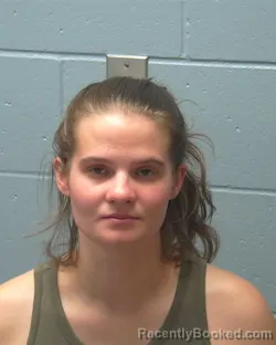 Mugshot of HOPE ABRIAN LEWIS booked in Adams County, Wisconsin on April 22, 2026