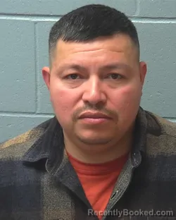 Mugshot of MOISES DEJESUS