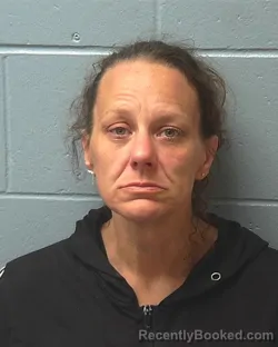Mugshot of SHOLAWNA MONIQUE GUNTER booked in Adams County, Wisconsin on May 3, 2026