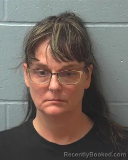 Mugshot of LISA MARIE RICH