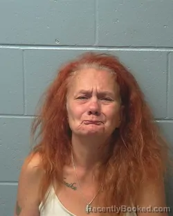 Mugshot of DIANA MARIE LAMONT booked in Adams County, Wisconsin on July 1, 2026