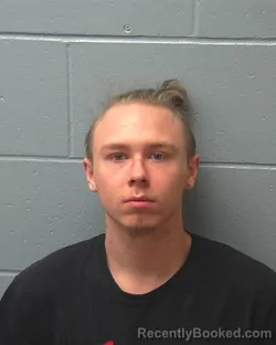 Mugshot of LOGAN A CLELAND