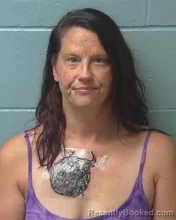 Mugshot of MEGAN DENISE SMITH booked in Adams County, Wisconsin on August 4, 2026
