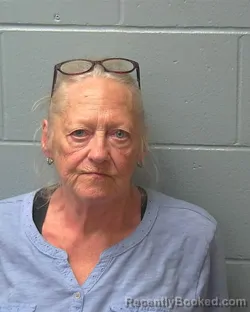 Mugshot of DELORES MARIE WESLEY BROWN booked in Adams County, Wisconsin on April 28, 2026
