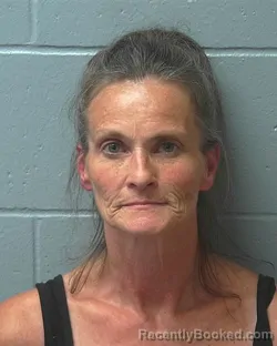 Mugshot of Nancee Jo Schmidt booked in Adams County, Wisconsin on August 23, 2026