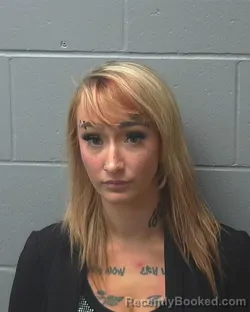 Mugshot of MEGAN LYNN ANDERSON