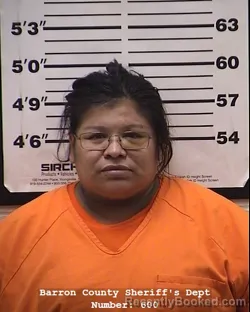 Mugshot of Mercedes Lee Lowe