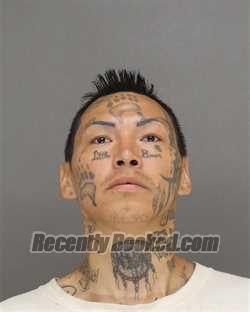 Booking photo from Brown County, Wisconsin