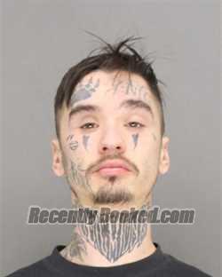 Booking photo from Brown County, Wisconsin