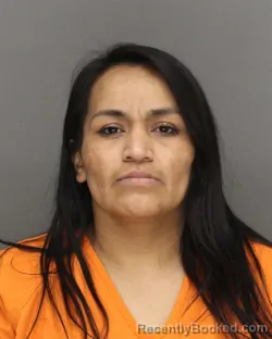 Mugshot of ARELI NMI LOZANO-GARCIA