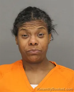 Mugshot of CRYSTAL LACE MCGEE
