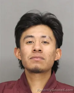 Mugshot of LUIS FERNANDO VASQUEZ-ANTONIO