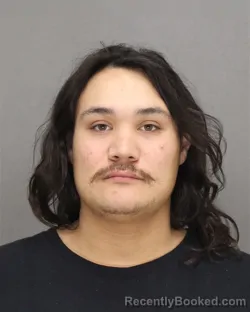 Booking photo from Brown County, Wisconsin