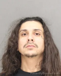 Booking photo from Brown County, Wisconsin