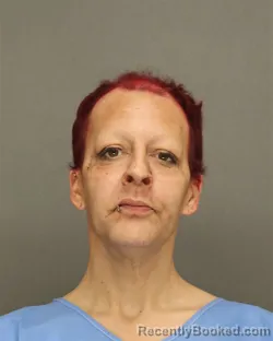Mugshot of SHAUNA WILLOW FINK