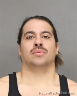 Booking photo from Brown County, Wisconsin