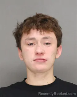 Booking photo from Brown County, Wisconsin