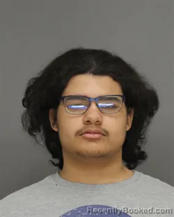 Mugshot of DAIQUAN JAYMES SCHUETTPELZ