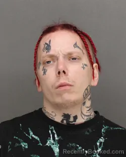 Mugshot of NICHOLAS JAMES NERO