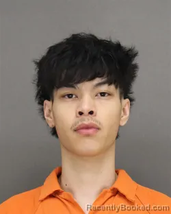 Mugshot of JAMES YAJ SAUB LEMAY