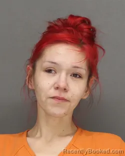 Mugshot of ANGEL LEAHA ARTEAGA