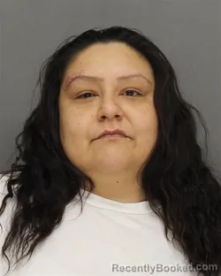 Mugshot of LAUREN KAT^SE ASKENETTE