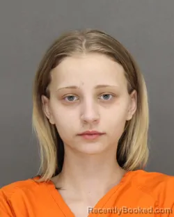Booking photo from Brown County, Wisconsin