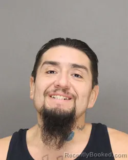 Booking photo from Brown County, Wisconsin