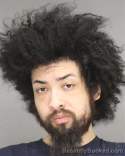 Mugshot of SEDRIC JAMES KING