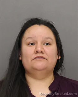 Mugshot of AMANDA ANN WILLIAMS