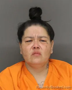 Mugshot of VANESSA MARIE MOHR